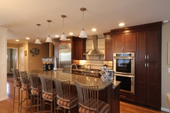 Goldenberg-Fried-Kosher-Kitchen