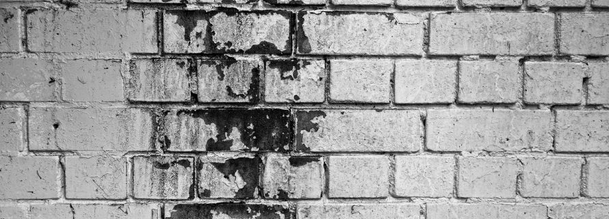 The Dangers of Black Mold in Basements