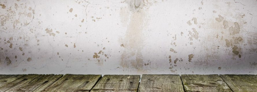 What To Do When You Find Black Mold In Your Bathroom