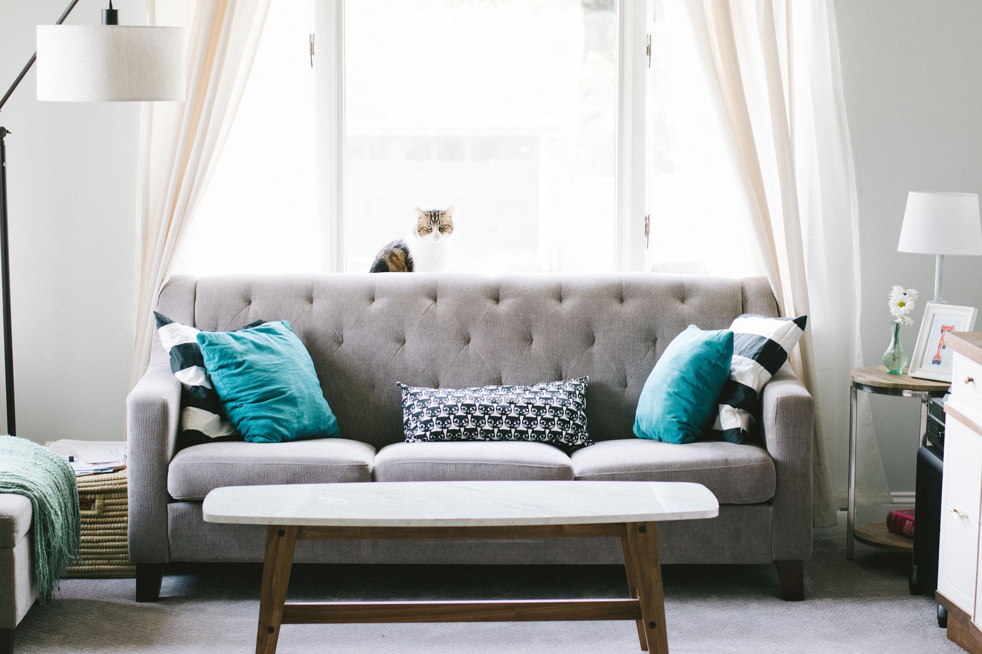 How to Incorporate Cozy Minimalist Design in Your Home Through Color