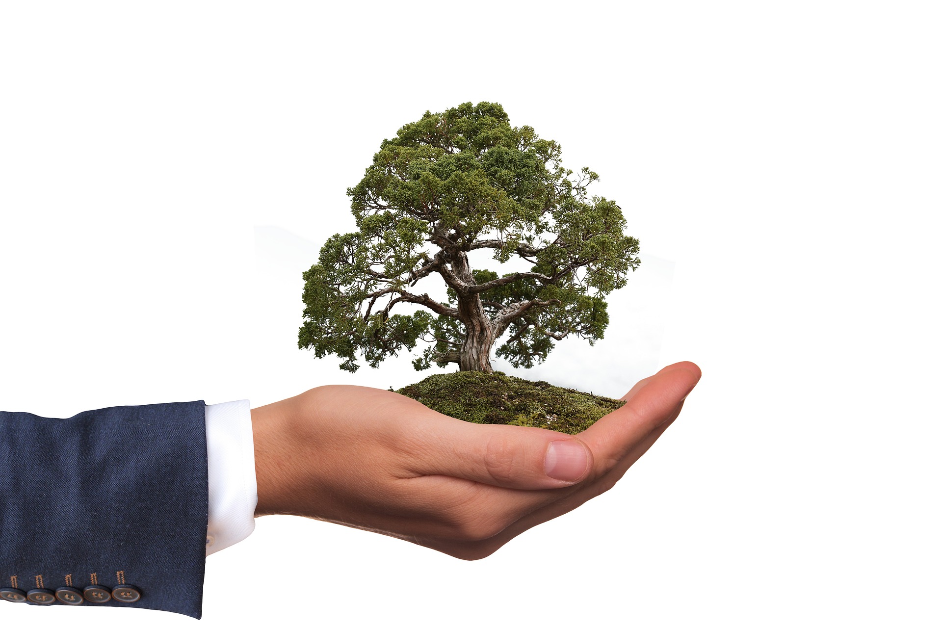Benefit of Having an Eco-Friendly Home