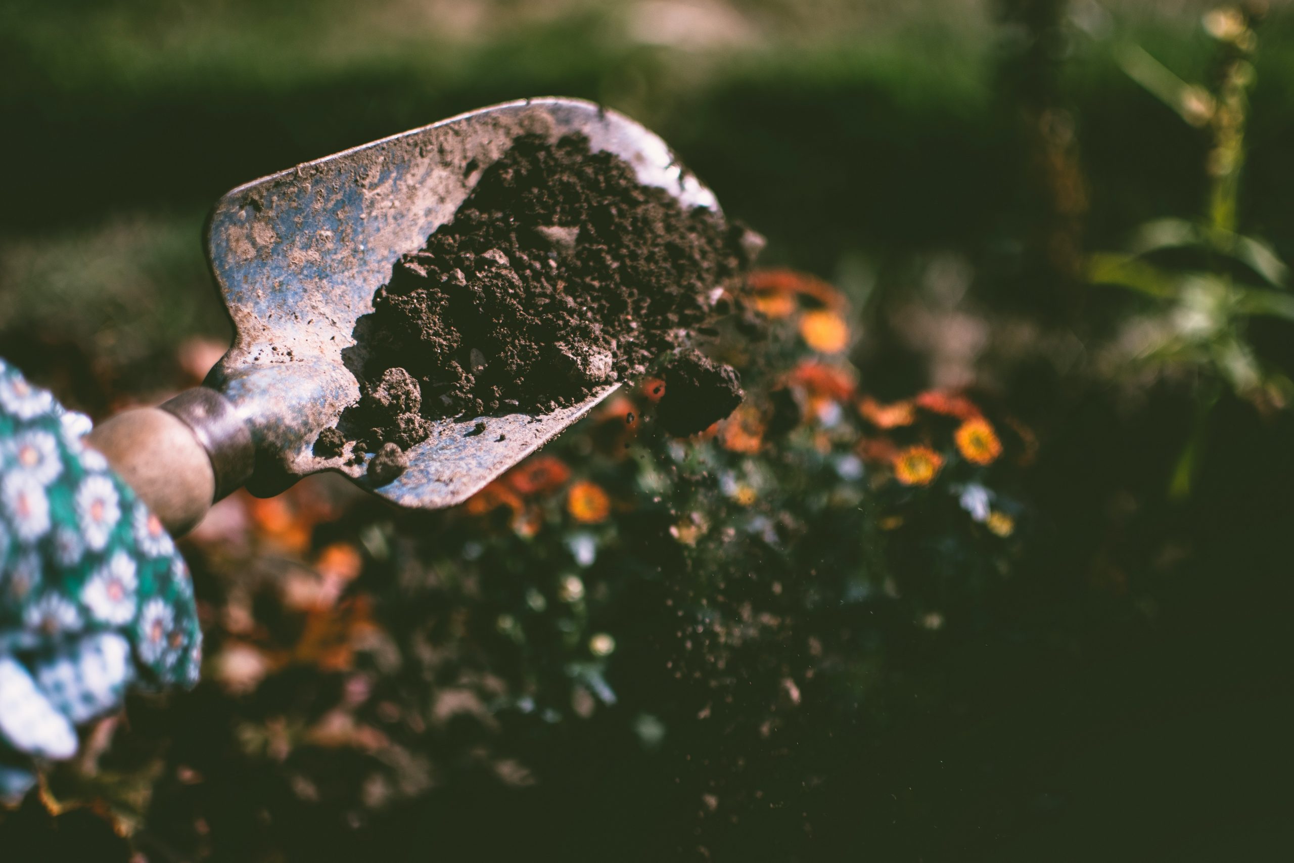 Ways Your Health Can Benefit from Gardening