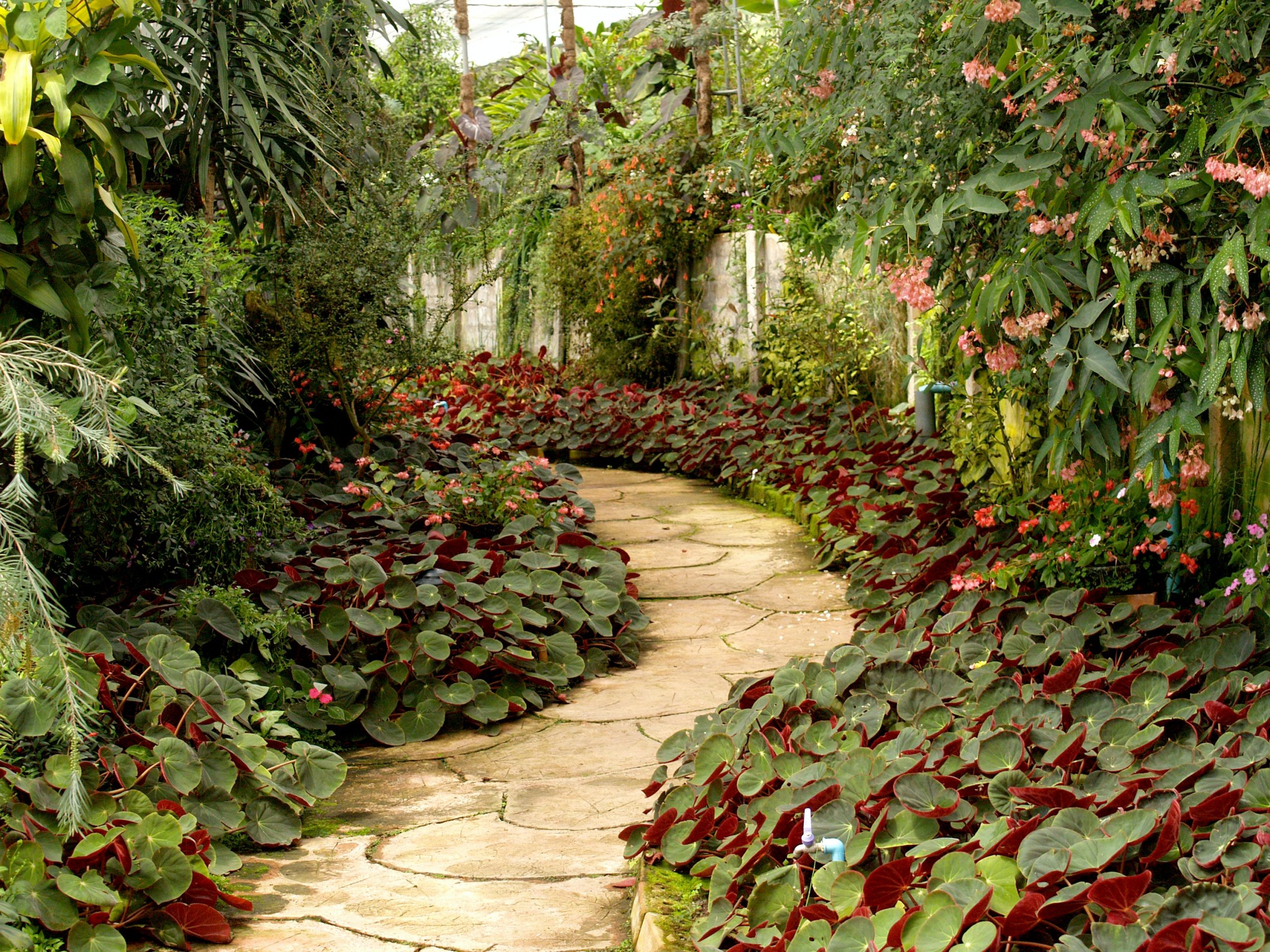 Most Beautiful DIY Garden Path Ideas