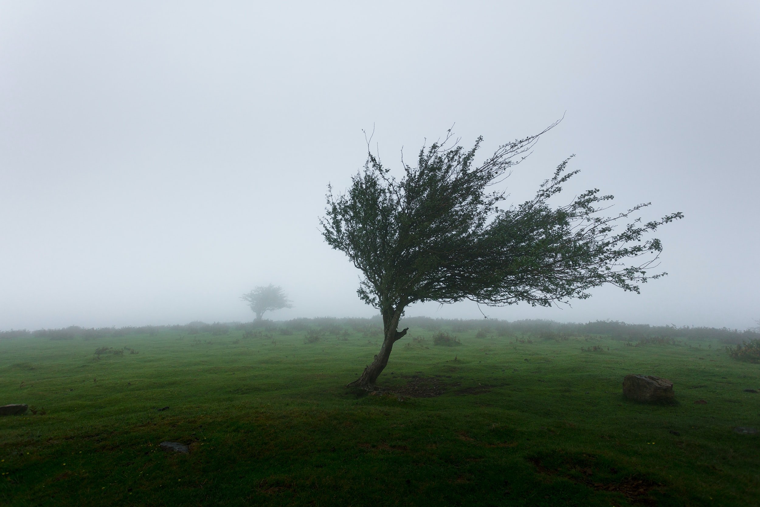 How Can Strong Winds Damage Your Home?