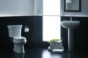 Bathroom Remodeling 
